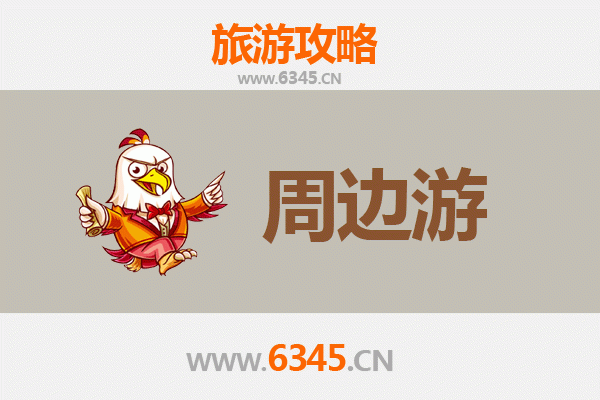 深圳龙华周边游全攻略：探索城市绿洲与人文风情