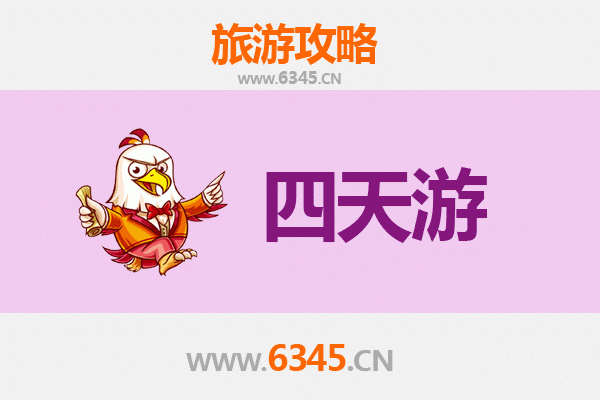 深圳龙华四天三夜深度游攻略及预算指南