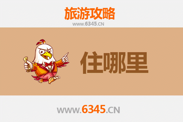 深圳龙华旅游住宿全攻略：舒适与经济并存的理想选择