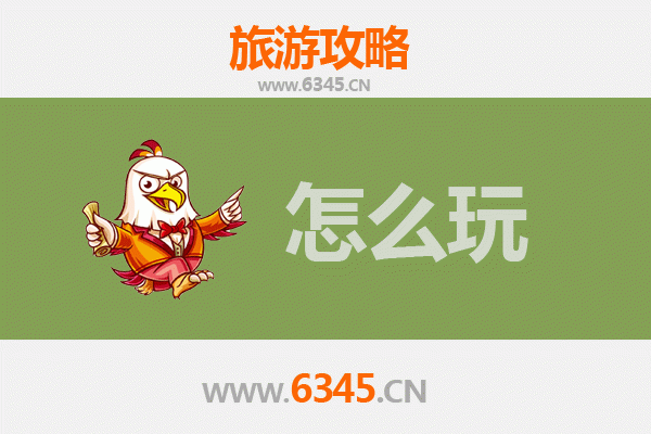 深圳龙华节假日游玩全攻略：探索都市文化与自然风光
